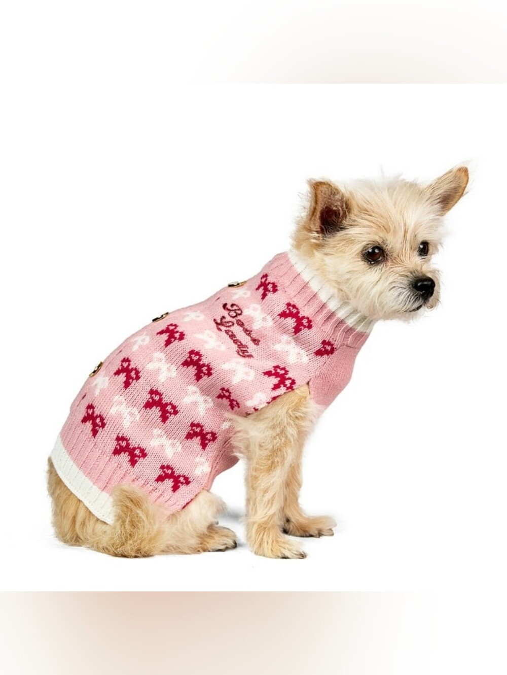 Vibrant Life NWT Pink "Boss Lady" Holiday Pet Sweater For Cats & Dogs - Picture 3 of 9